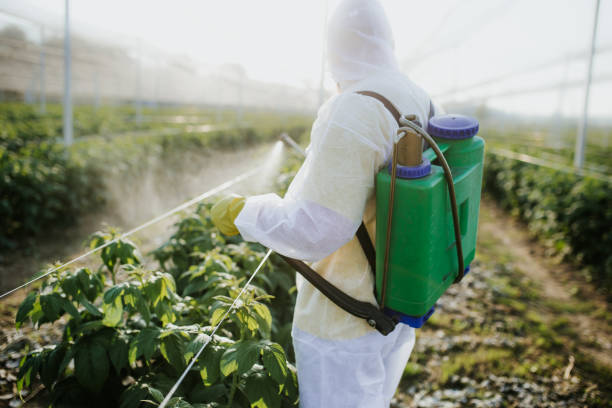 Best Mosquito Control Services  in Chatham, VA
